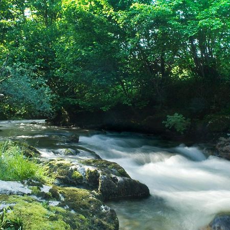Apartamentos La Corona - Cabrales Carrena de Cabrales Εξωτερικό φωτογραφία