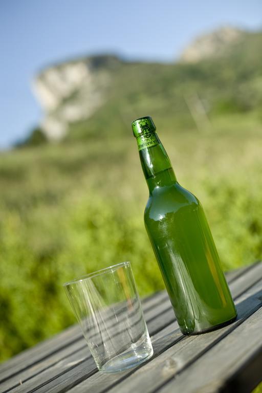 Apartamentos La Corona - Cabrales Carrena de Cabrales Εξωτερικό φωτογραφία